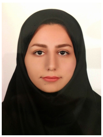 کارشناسان